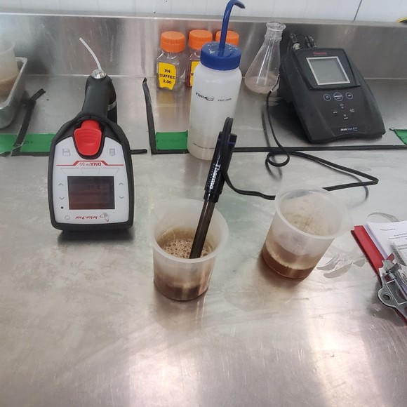 Meet your Posher, Abigail - Picture 1 of 1